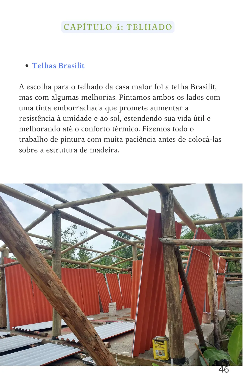 Telhado: telhas Brasilit com pintura protetora